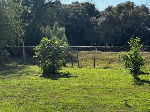 Green lawn with young fruit trees and a chain-link fence